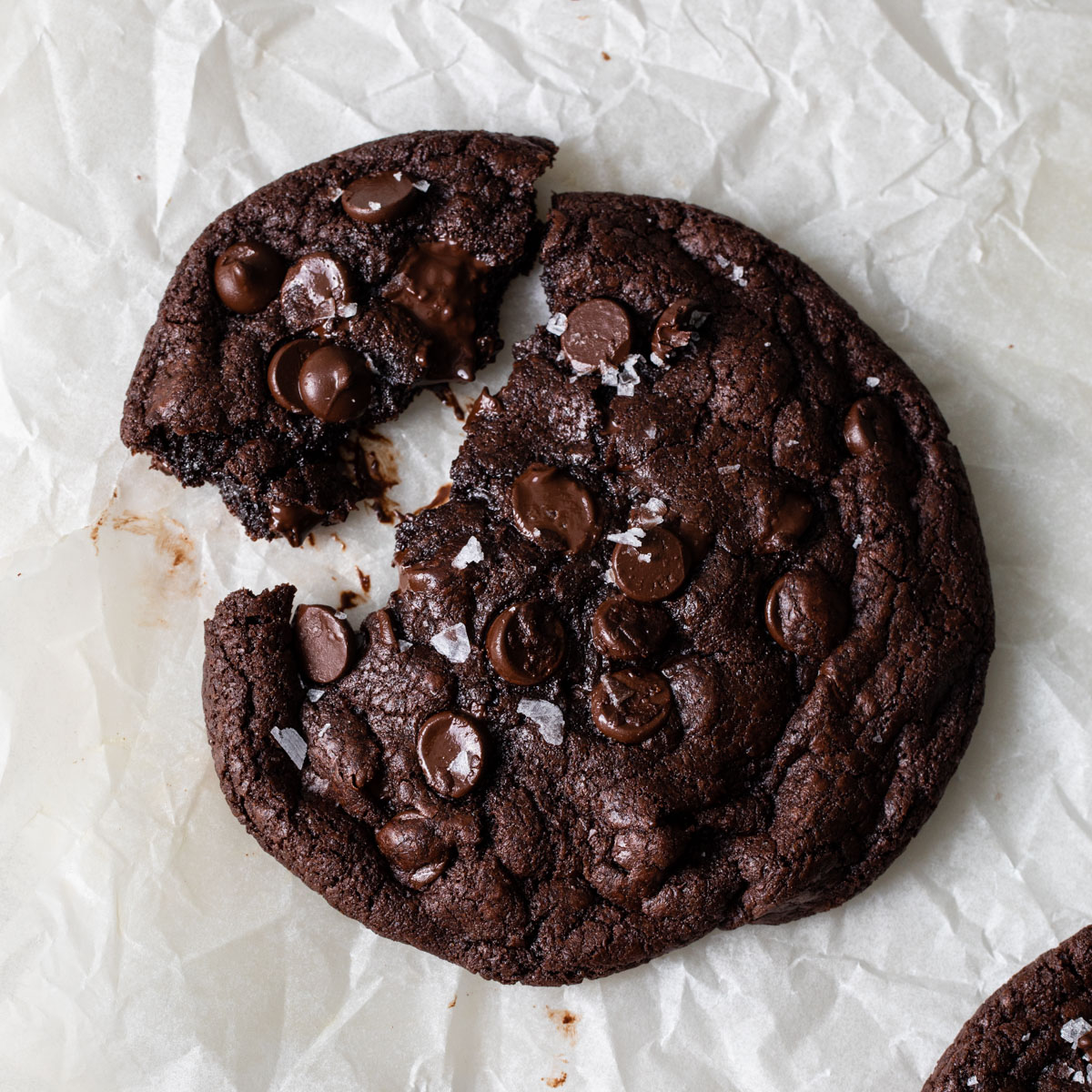 Double Chocolate Chip Cookies - Style Sweet