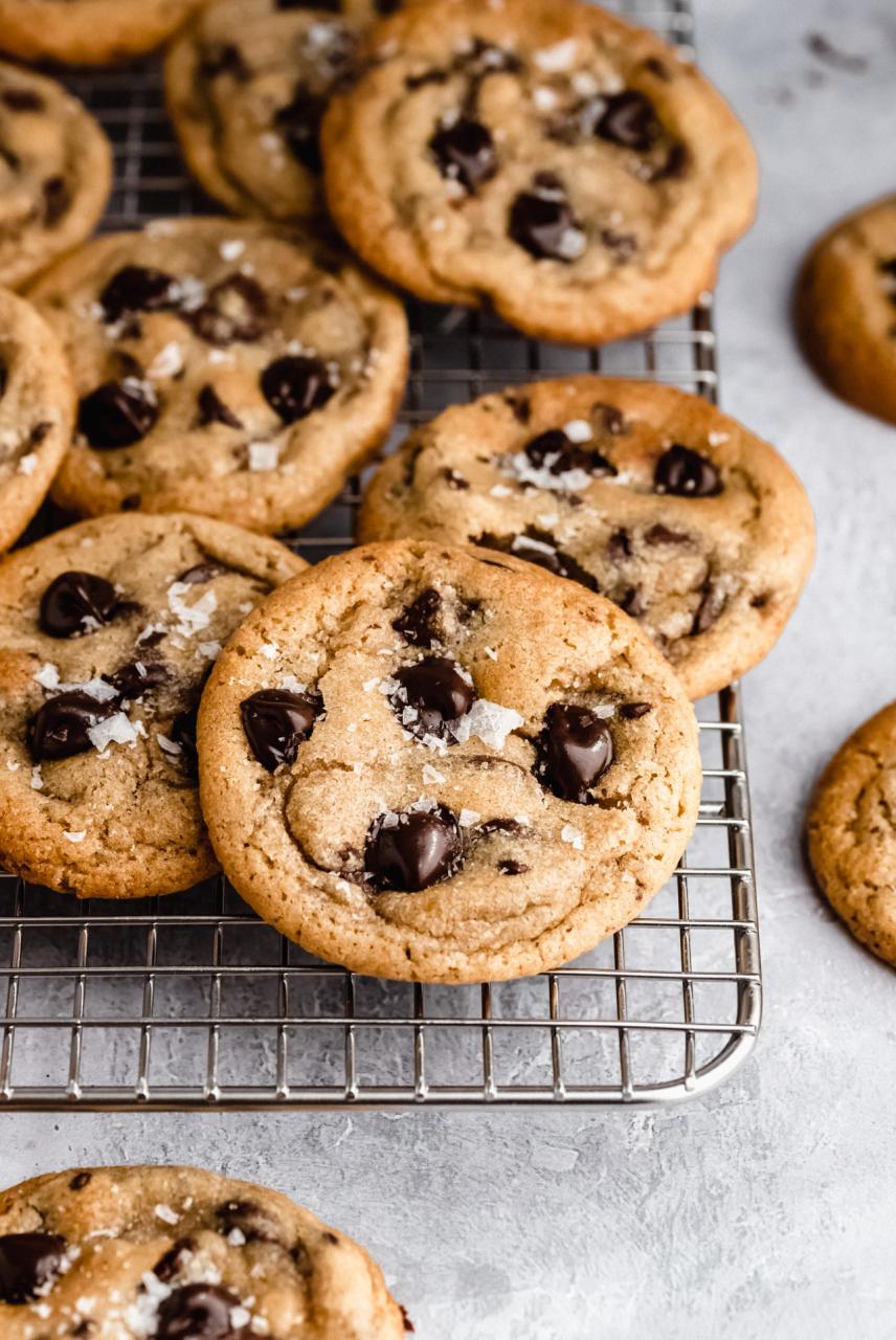 Chewy Chocolate Chip Cookies - Kim's Cravings